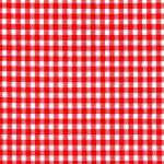 gingham, fabric, red