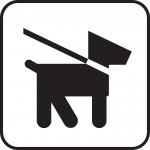 dog, dog leash, lead