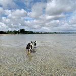 IMG-20230801-WA0044