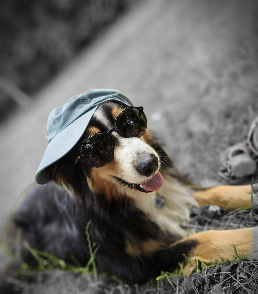 Balou