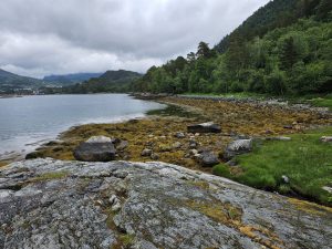 AusSICHTsLos