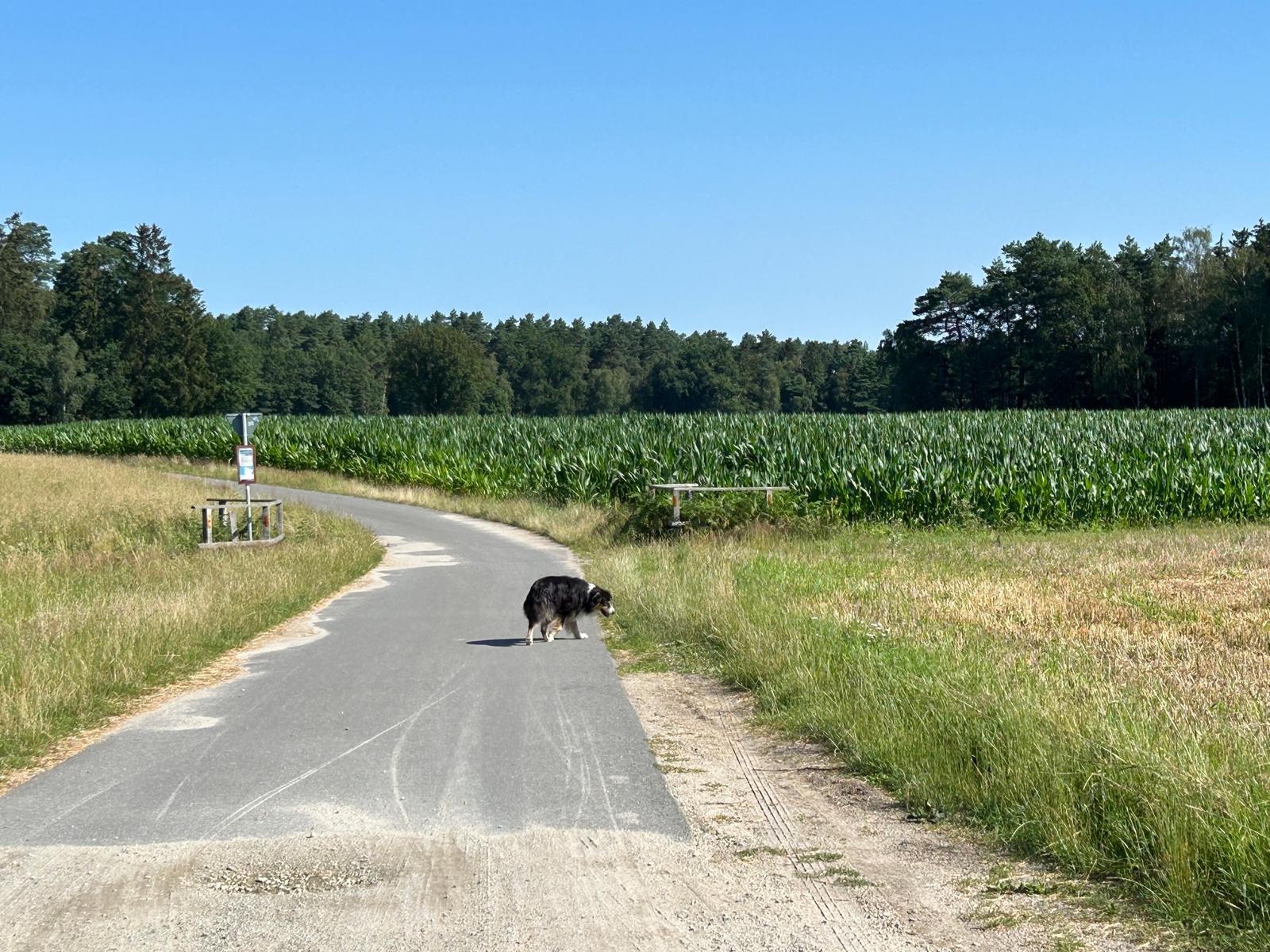 IMG-20240822-WA0028