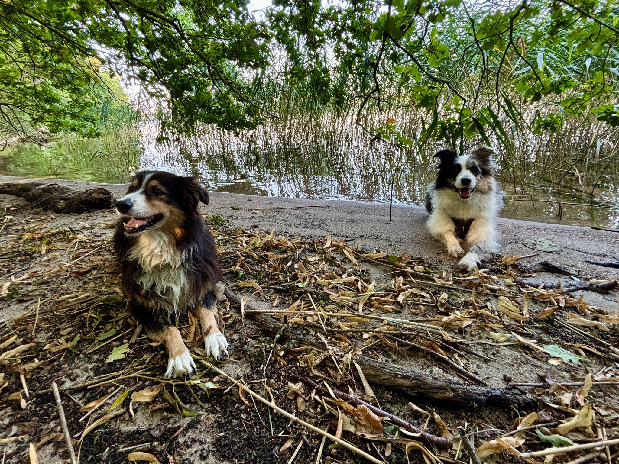 IMG-20240828-WA0011